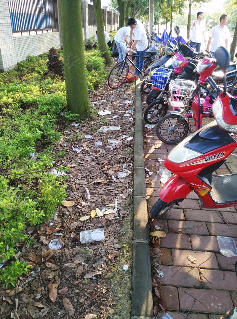 mk体育(MKsports集团)股份公司