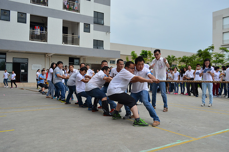 mk体育(MKsports集团)股份公司