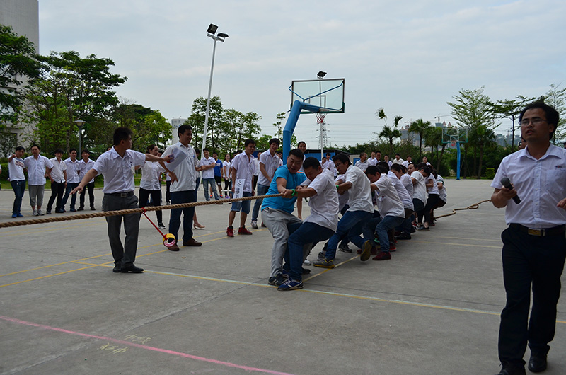 mk体育(MKsports集团)股份公司