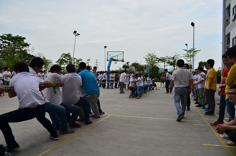 mk体育(MKsports集团)股份公司