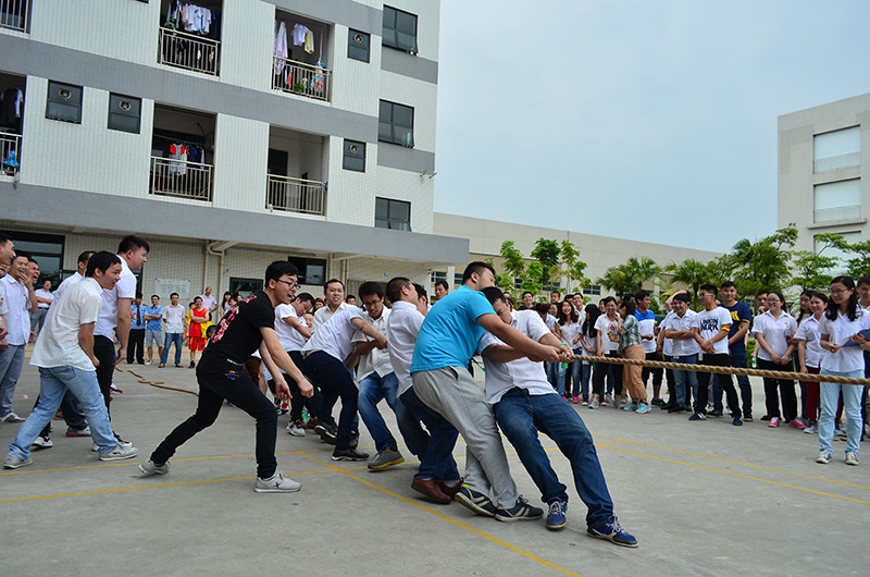 mk体育(MKsports集团)股份公司