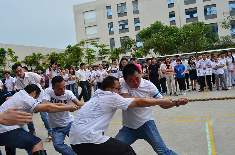 mk体育(MKsports集团)股份公司