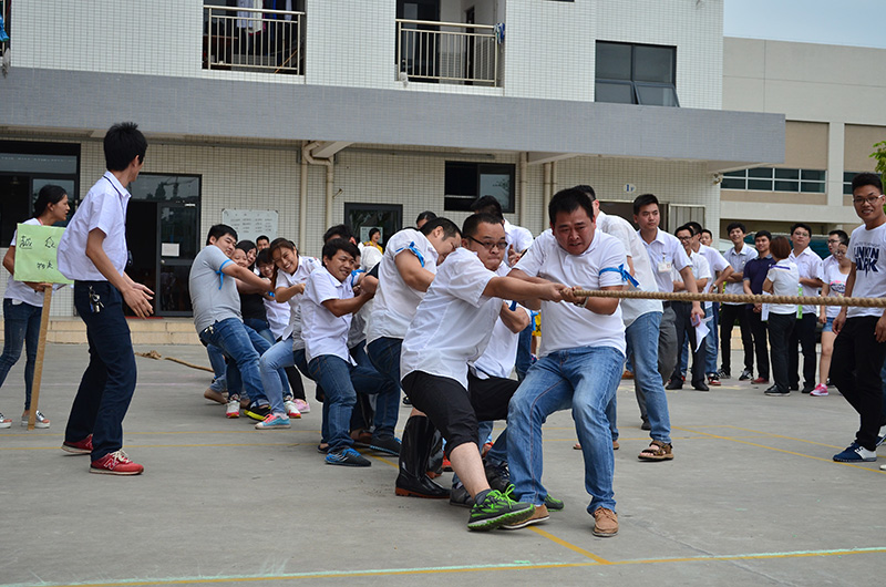 mk体育(MKsports集团)股份公司