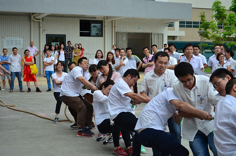 mk体育(MKsports集团)股份公司