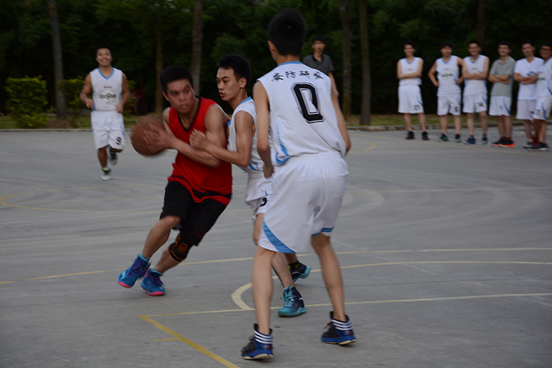 mk体育(MKsports集团)股份公司